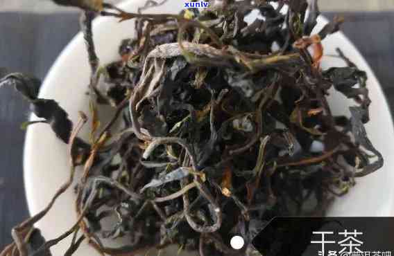 中国普洱茶在线交易市场： 茶叶投资与品鉴的首选平台