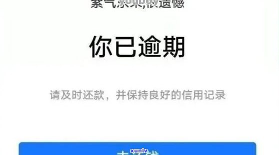 网商贷逾期一个月会有什么结果？