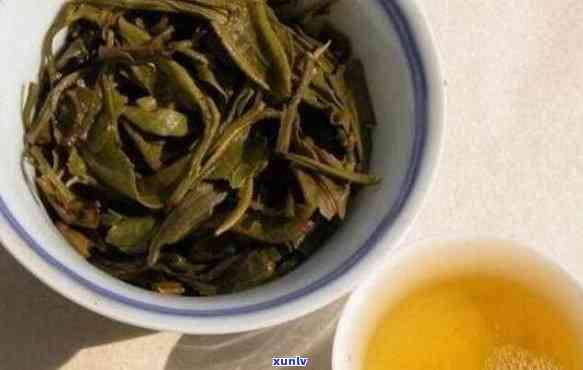 四奶青算浓茶吗，探讨：四奶青是否属于浓茶？