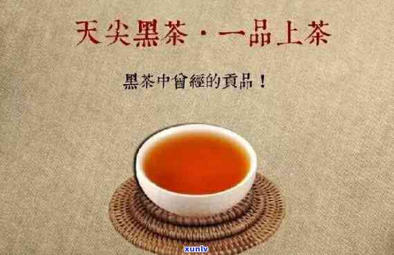 什么茶是黑白相间的茶？探究其品种、色泽与特点