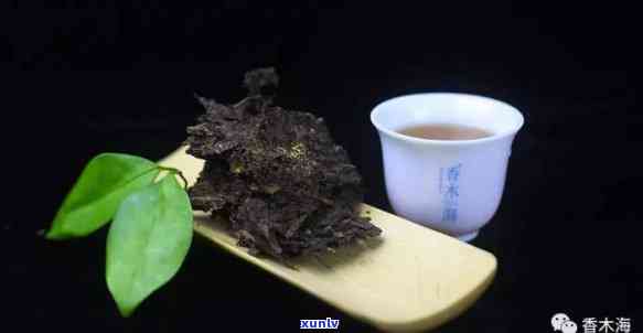 茯茶是一种什么样的茶？详解其种类与特点