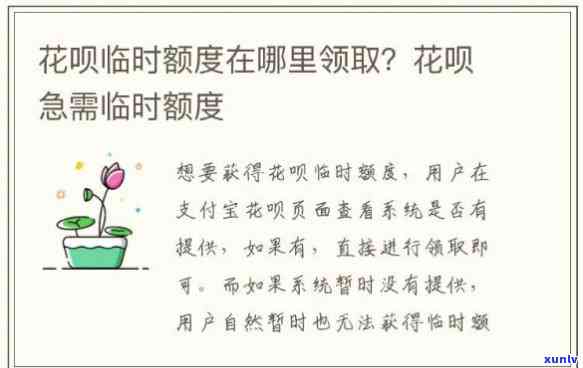 花呗临时额度逾期到期未提醒引起在哪里还款，未收到提醒，花呗临时额度逾期了，应在哪里还款呢？