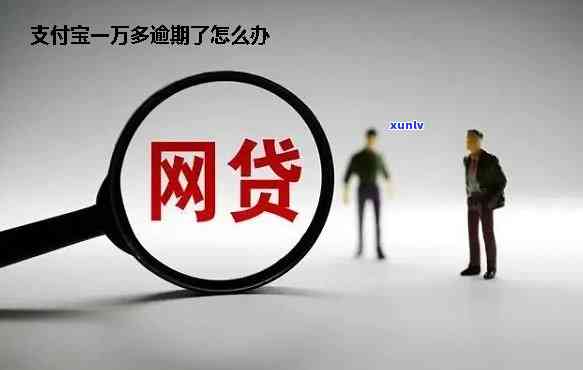 支付宝网商贷逾期会怎么样，深入了解：支付宝网商贷逾期的后果与影响