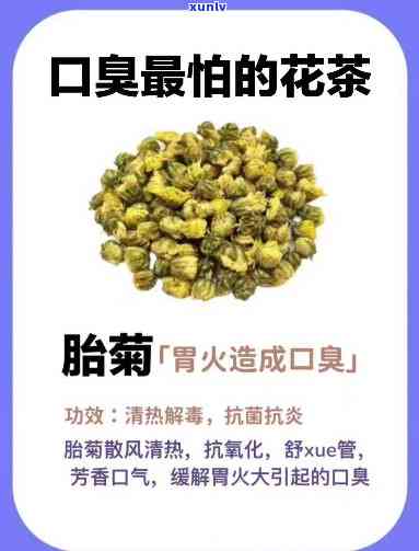 什么茶养脾胃治口臭？专家推荐的饮品！