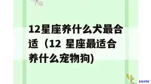 什么属相适合养什么宠物，生肖与宠物的匹配：什么属相适合养什么宠物？