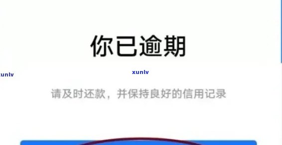 白底浅绿翡翠，精致优雅：浅绿翡翠配以洁白底座，尽显清新自然之美