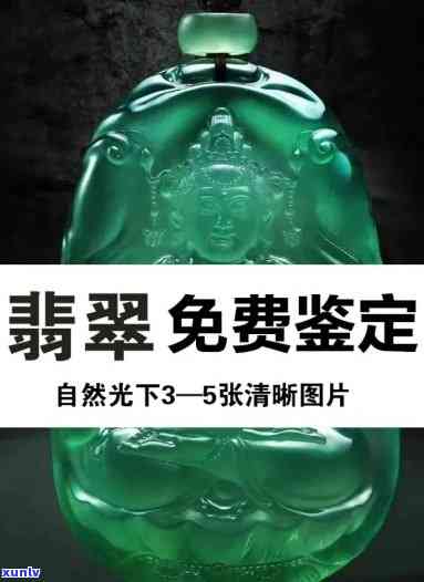 大益鸾翔怎么样？详解2020年用料及产品特点