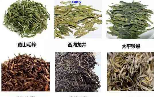 不含芽头的茶叶：种类与名称全解析