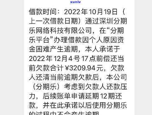 老茶头与普洱茶：一场口感的较量，哪个能赢得你的青睐？