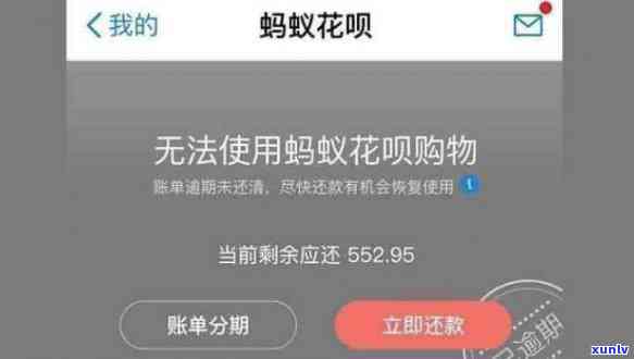 花呗逾期支付宝不让用-花呗逾期支付宝不让用怎么办