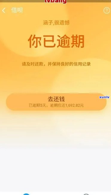 冰种翡翠冰种，璀璨夺目：探究冰种翡翠的美丽与价值