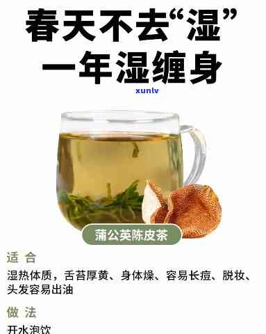 15年吉顺号普洱茶：一款值得品鉴的优质茶品