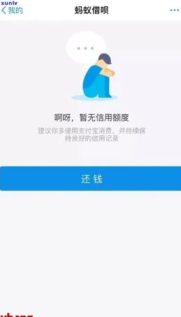 探究老班章生产厂家：品质越的源头秘密