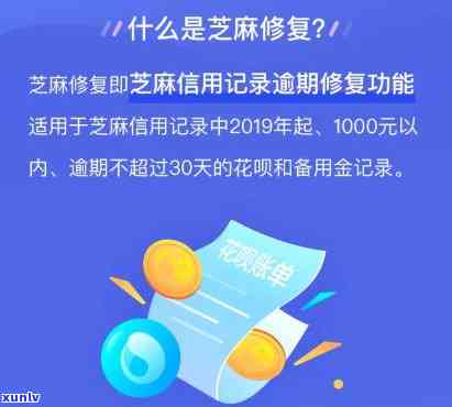 信用卡逾期欠款的详细查询步骤与防止 *** 