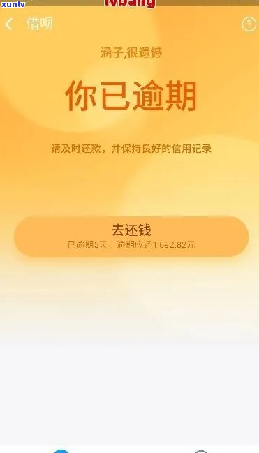 9k翡翠手镯-9.9的翡翠手镯