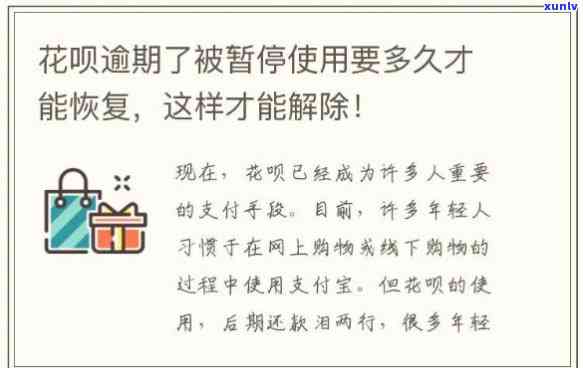 东半山普洱茶生茶价格走势及收藏价值分析