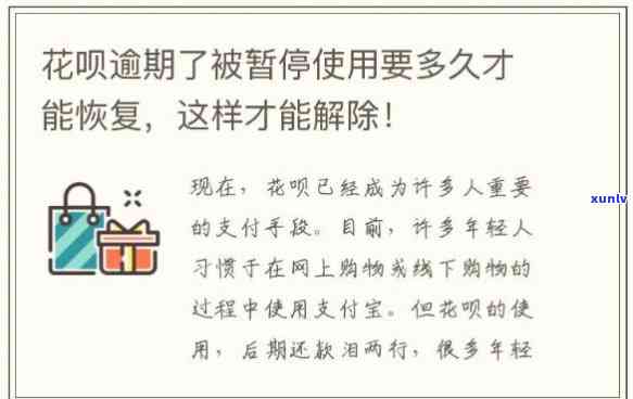 东陵玉手镯戴的功效：揭示其佩戴与作用