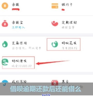 翡翠锁骨项链镶嵌款式大全：图片与图集欣赏