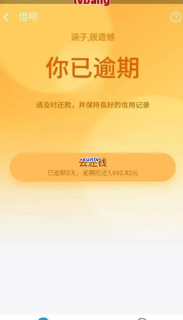 2021年8月花呗逾期图片图片