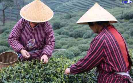 翡翠饰品适合老年人吗？如何选择和佩戴翡翠给老人？