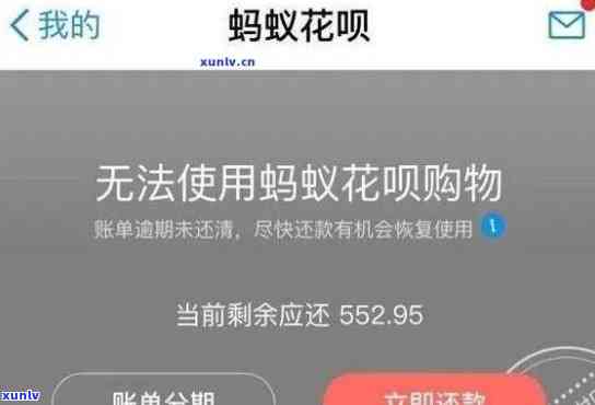 '19年信用卡逾期对23年买房影响及恢复时长