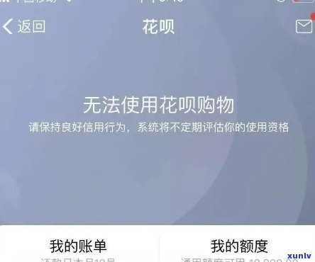 云南老班章普洱生茶价格及购买途径：一篇全面指南