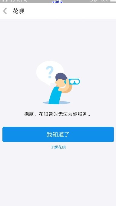 飘绿花翡翠手镯怎么样：图片、价格、档次解析，区别与寓意全面解读