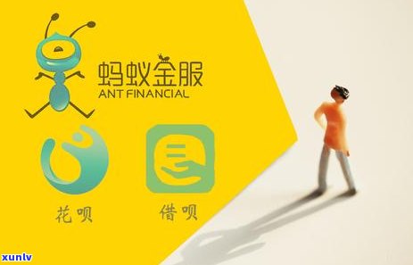 绿玉镯子价格指南：了解翡翠满绿的价值