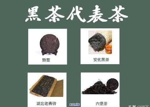 紫泥泡普洱茶的全面优缺点解析：了解其益处与潜在风险