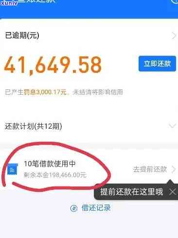 泰普洱茶全系列价格解析：7538系列详细介绍及市场行情分析