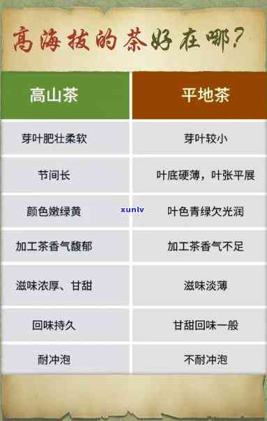 南阳玉手镯价格一般多少钱，南阳玉手镯价格大揭秘，一文告诉你多少钱合适！