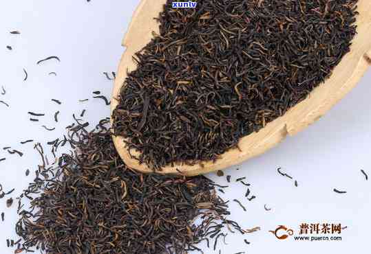 普洱古树芽孢茶的全面功效与作用解析：如何利用这一珍贵茶叶改善健？