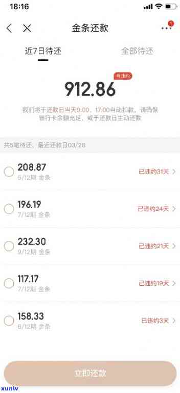 翡翠冰料什么意思，「翡翠冰料」的含义解析