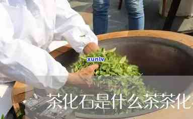 云南冰岛饼茶的价位-云南冰岛饼茶的价位是多少