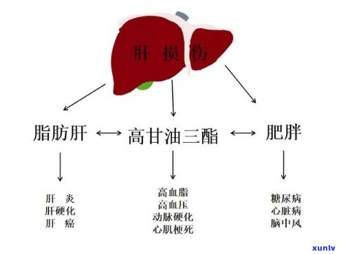 中信信用卡逾期分期还款操作流程，如何处理逾期并进行分期还款？