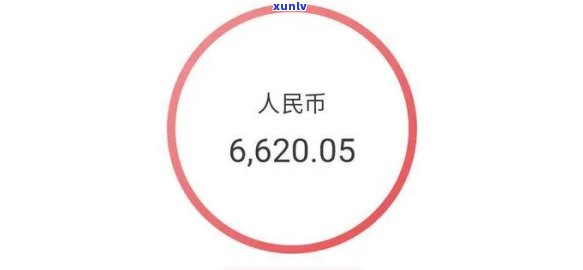 全面解析：黑乌沙料子的实用性、美观度、易养性及产出特性，了解其颜色原石特点和公斤料的表现。