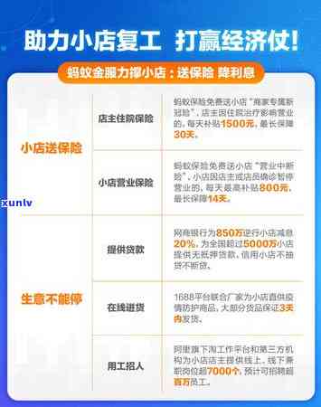 13年陈年生普洱茶：品质、产地、冲泡与收藏全解析