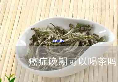 普洱茶产量分析：一年中不同节的产量变化，以及主要产区和品种的产量对比