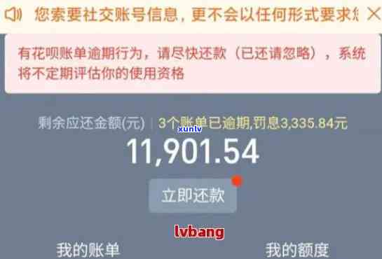 鸳鸯翡翠两争新：对比分析、选购指南与搭配建议，让你轻松成为翡翠专家