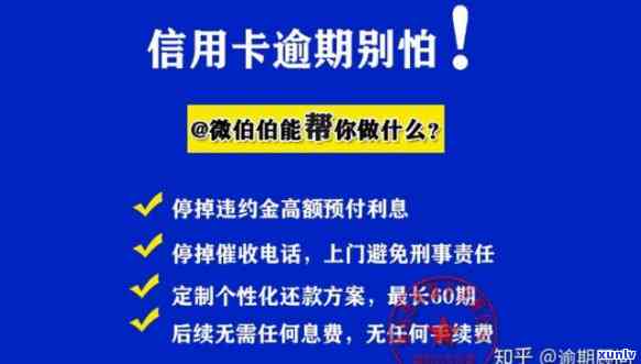 大益熟茶哪款好喝？性价比高的推荐与收藏价值分析