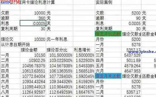 全面品鉴合和老班章茶：中龙象的独特魅力与品质详解