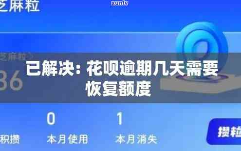 翡翠飘花手镯的种类图片全解：价值与价格一览