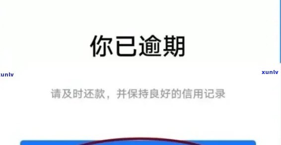 翡翠绿货等级划分全解析：从颜色到品质，一文教你如何辨别和挑选高品质翡翠