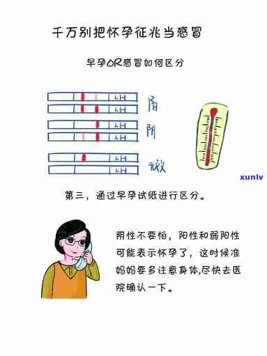 '凤庆滇红茶地理标志产地：云南凤庆，品质独特。'