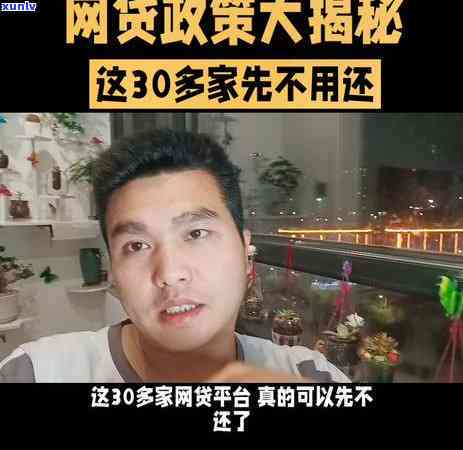 柑桔普洱茶功效：全面解析其作用及影响