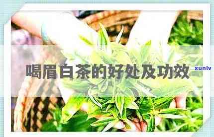 光大银行逾期4次的结果是什么？会对信用记录产生怎样的作用？该怎样解决逾期疑问？