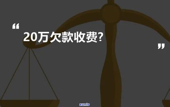 去限制带多少茶叶？最新规定请查收！