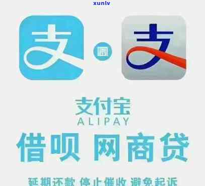 布朗山茶饼357克：详细信息、价格及购买渠道一网打尽