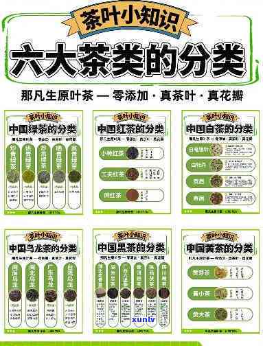 金融公司逾期后果分析：风险、应对策略与影响