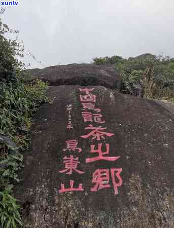 翡翠马牌吊坠：生肖寓意与佩戴意义的深入解析